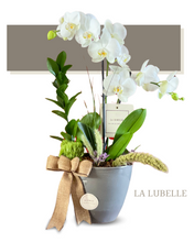 Cargar imagen en el visor de la galería, (e)  Bowl Contempo Trinitate 2 varas Multiflora/Orquídea Normal