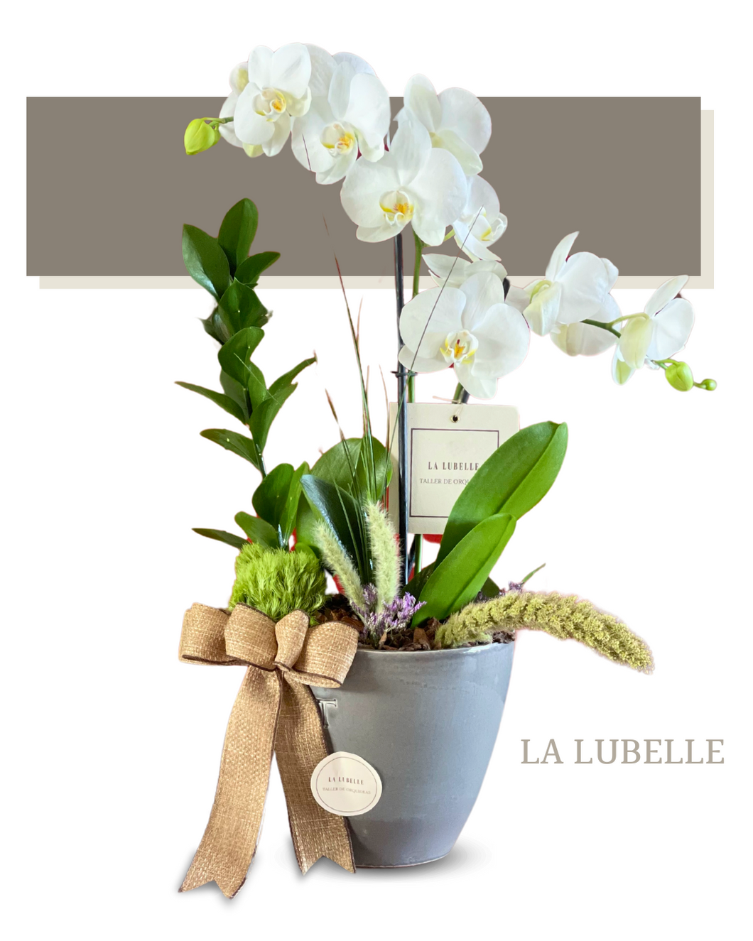 (e)  Bowl Contempo Trinitate 2 varas Multiflora/Orquídea Normal