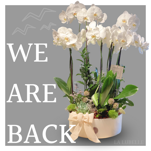 ¡Estamos de regreso!