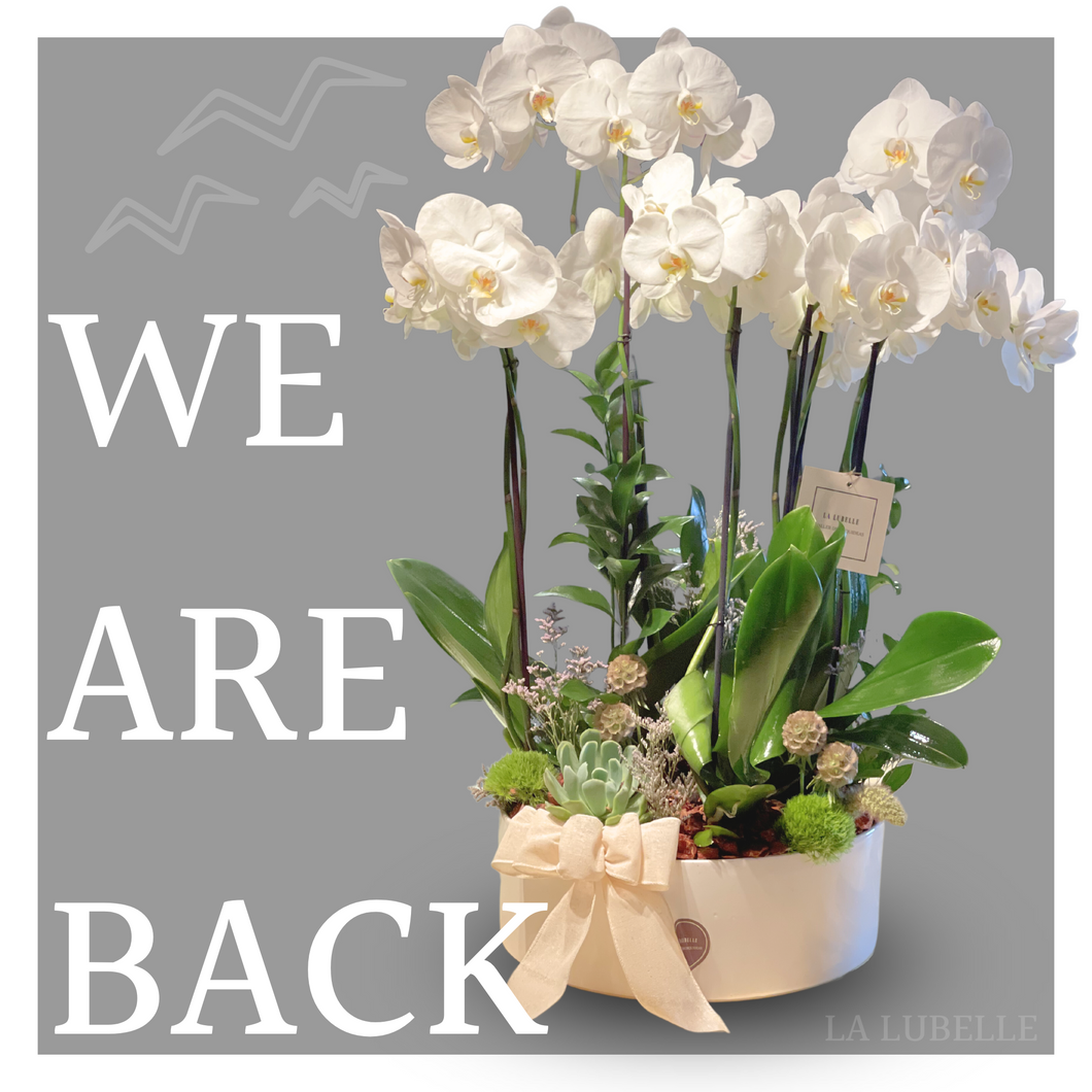 ¡Estamos de regreso!