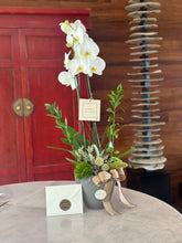 Cargar imagen en el visor de la galería, (e)  Bowl Contempo Trinitate 2 varas Multiflora/Orquídea Normal